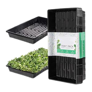 Plant Growing Trays
