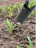 Bulb Transplanter GT1001