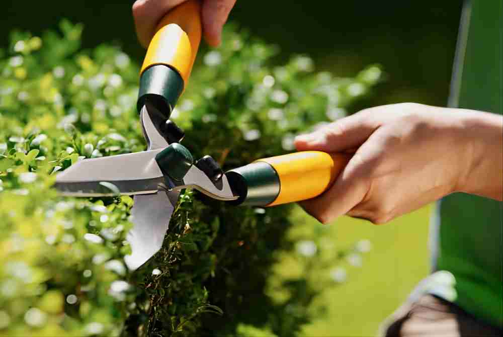 Buy Wholesale China Garden Pruners, Heavy Duty Gardening Scissors Pruning  Shears With Adjustable Thumb Lock, Handheld Ga & Garden Pruners at USD  27.95