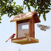 Transparent Window Squirrel Proof Wooden Bird Feeder