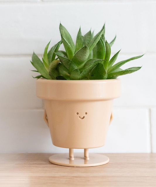 3.5" Succulent Cactus Unique Cute Gift with Face Plastic Flower Pot