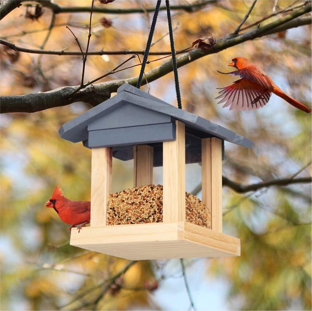 Outside Squirrel Proof Food Holder Barn Bird Feeder