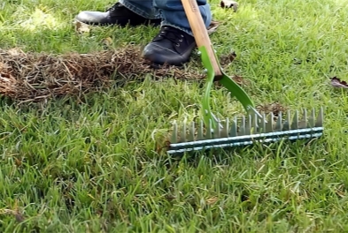 dethatching-rake-landscaping-rakes-2915100-e1_1000_副本