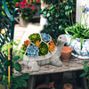 Solar Garden Outdoor Statues Turtle GT