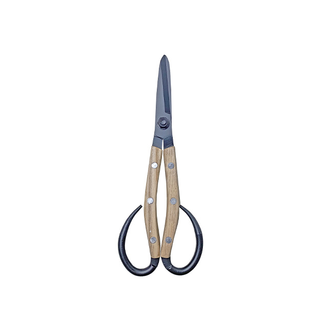 Scissors GT2061