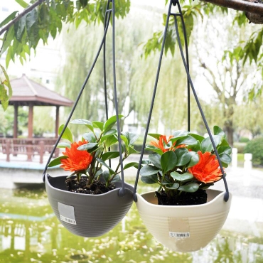 Hanging Planters GT14056-1(1)_副本