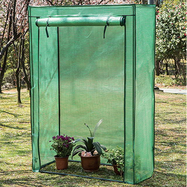 Tomato Green House GT24026