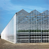 Hydroponics Growing System GT24104