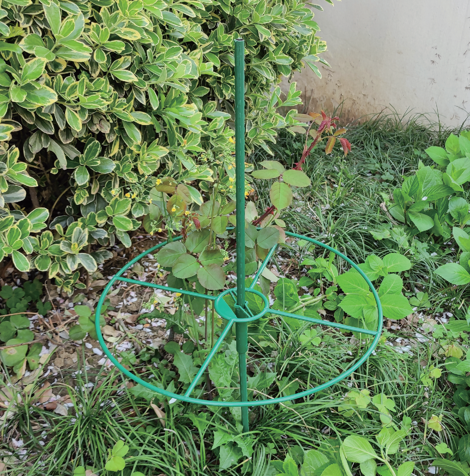 Garden Support GT25052-1