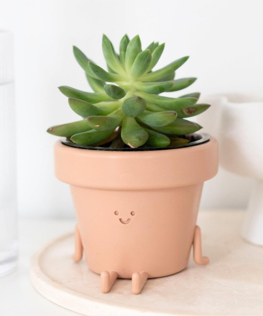 3.5" Succulent Cactus Unique Cute Gift with Face Plastic Flower Pot