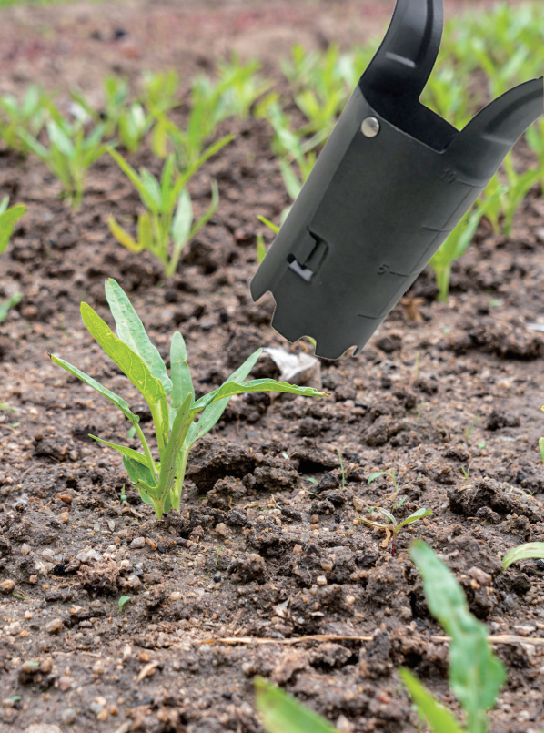 Bulb Transplanter GT1002-1