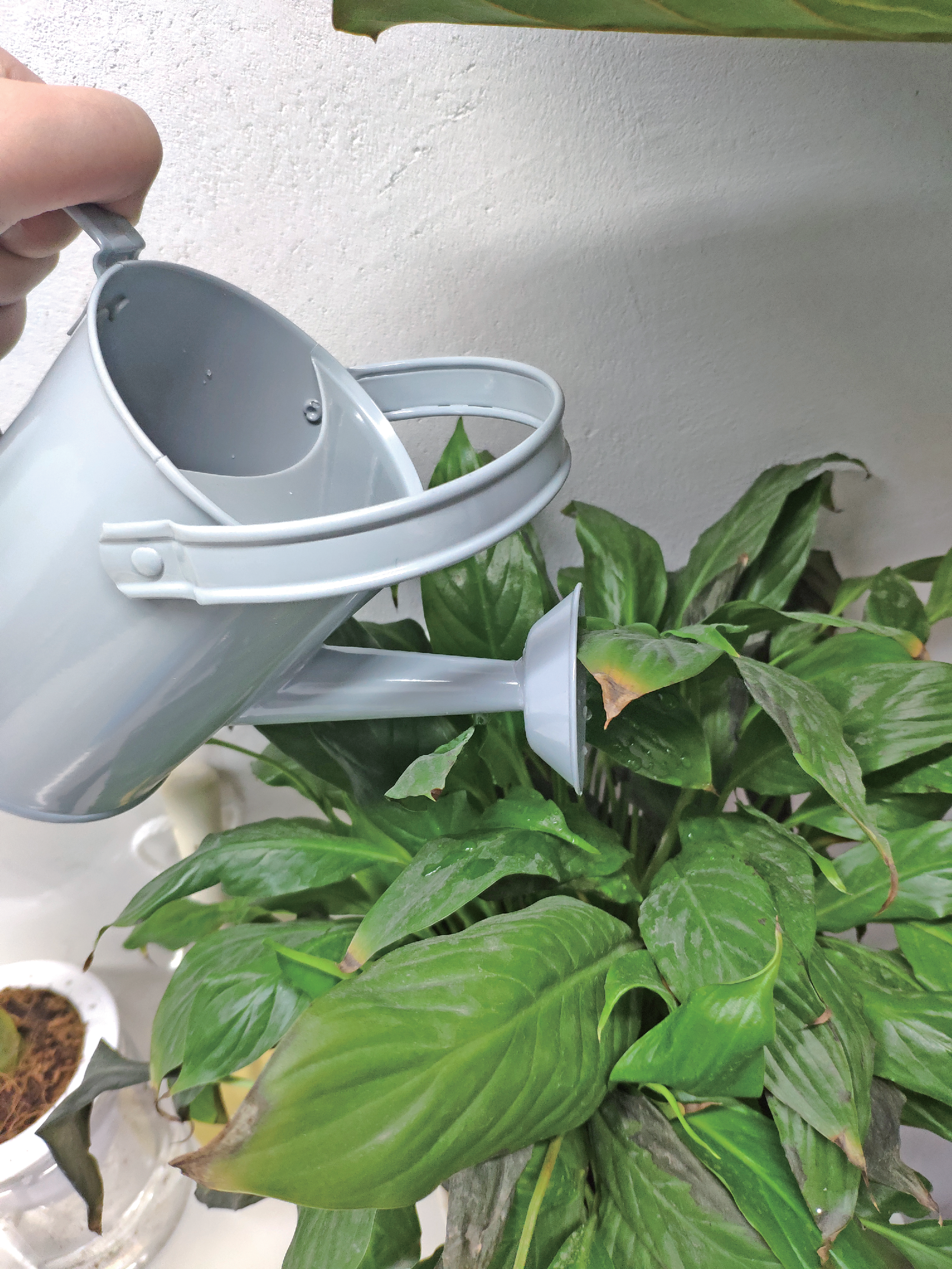 Garden Watering Can GT1047D-1