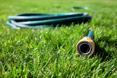 Coiled green hose with nozzle pointing out laying on grass Hose Pipe on verdant green grass. garden hoses stock pictures, royalty-free photos &amp; images_副本