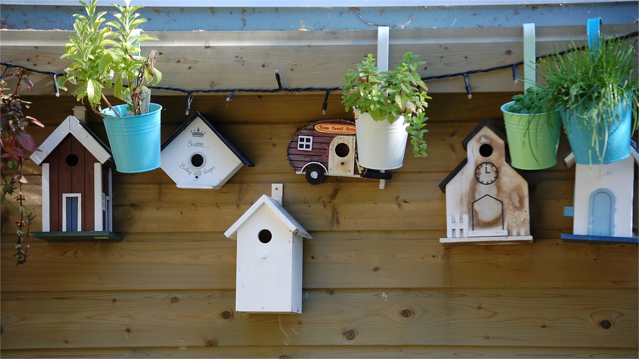 birdhouse-2427217_1280(1)
