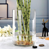 Glass Vase GT14588