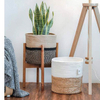 Flower Pot GT16083-1