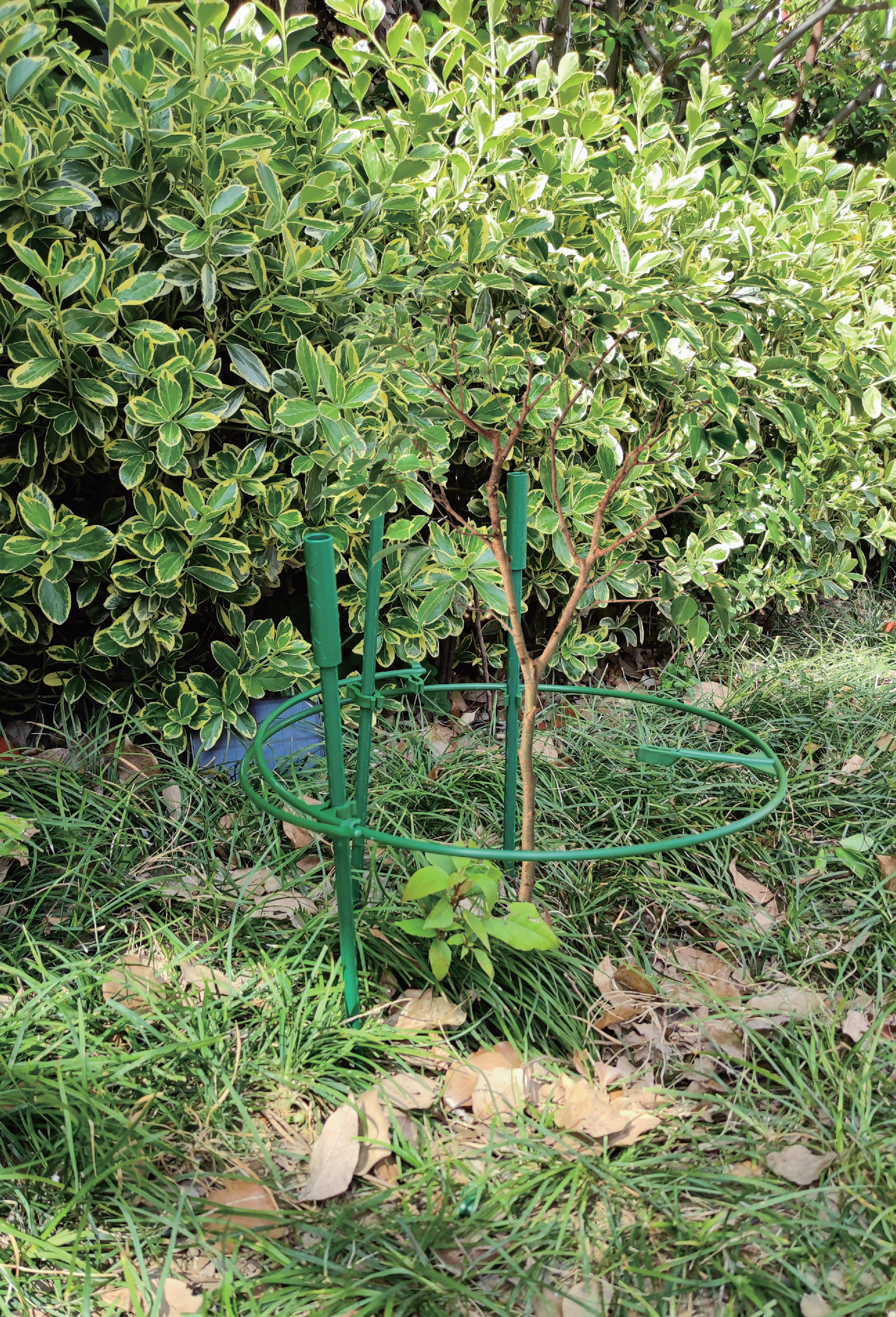 Garden Support GT25046-4