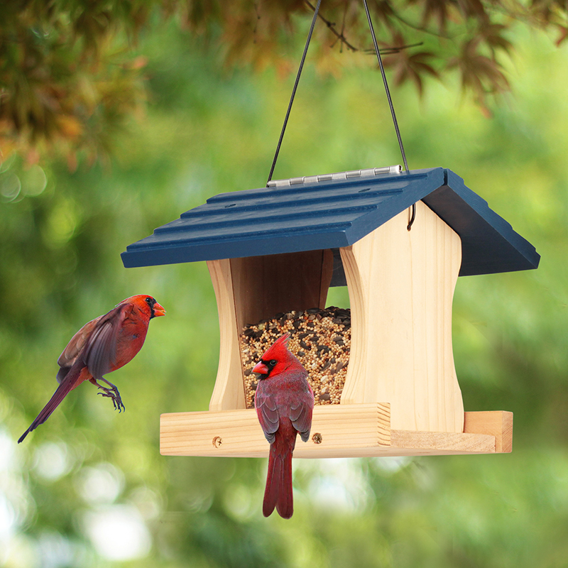 Longtime Durability Wooden DIY Birdhouse Kits Bird Feeder