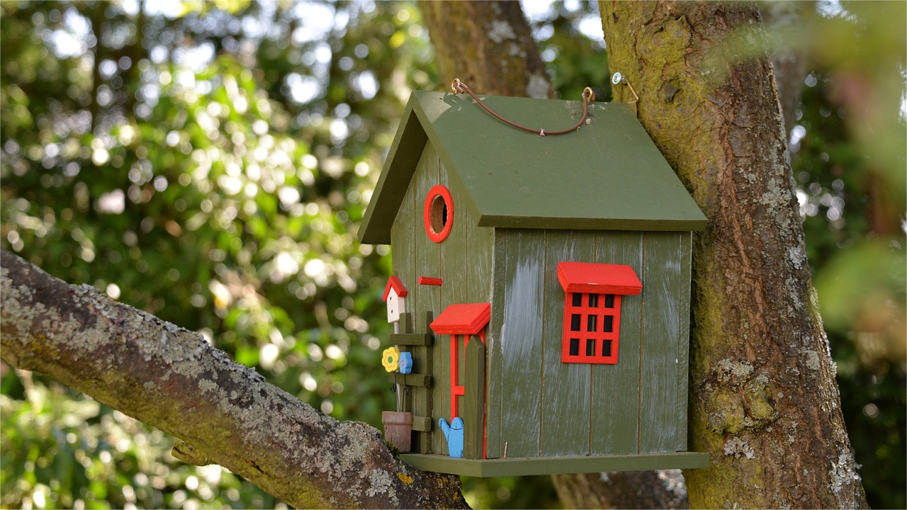 bird-house-550613_1280(1)
