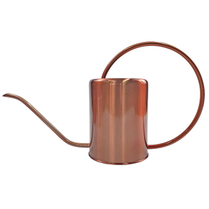 Indoor Modern Stainless Steel Copper Long Spout Nozzle Watering Can