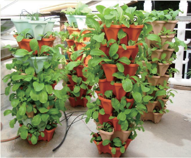 Flower Pot GT14011-1