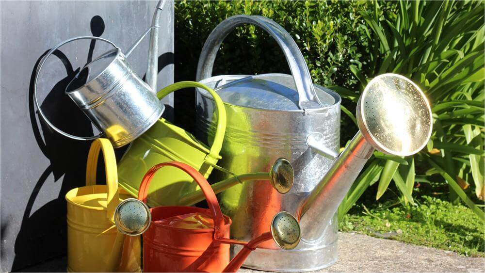 Watering Can Comparison between Different Materials (3)