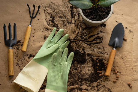 top-view-of-gloves-garden-tools-ficus-and-potting-soil-on-brown-background-spring-houseplant.jpg