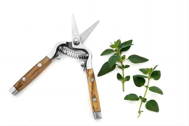 gardening tools2