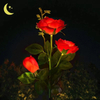 Solar Garden Lights with Rose Flowers GT