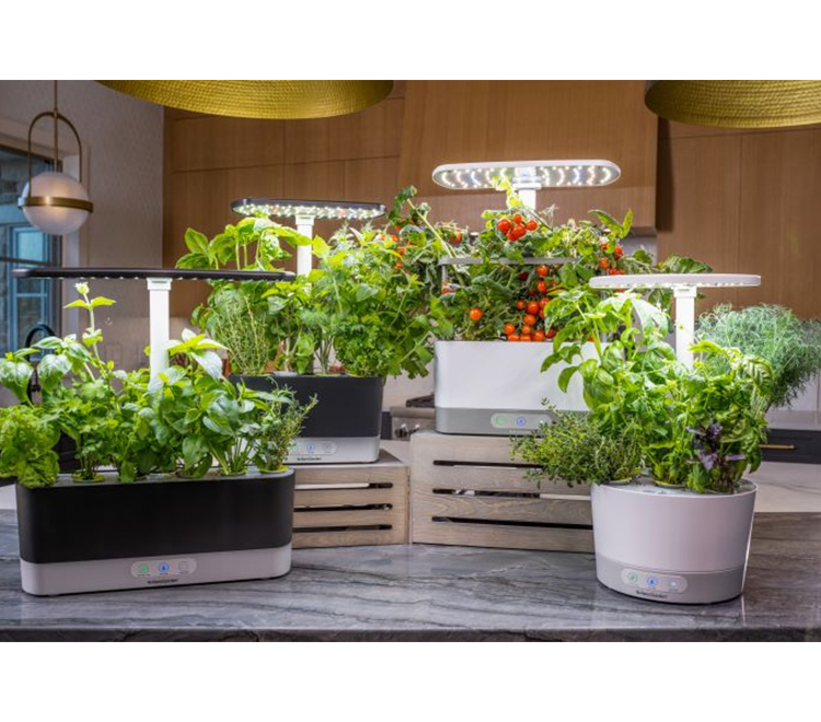 Choose From The Best Hydroponic Gardening Supplier