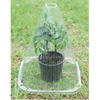 Plant Nursery Cap GT23001