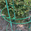Garden Potted Plant Trellis Climbing Frame Support Cage GT25051