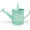 1.5 L Mint Galvanized Metal Small Horticultural Decor Watering Can