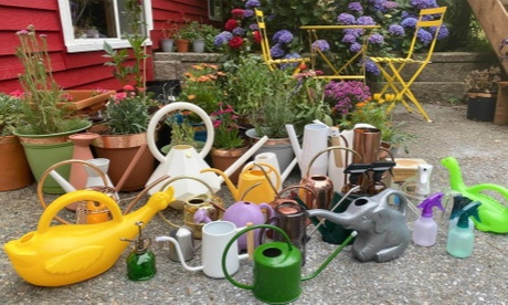 Watering Can Comparison between Different Materials (10).jpg