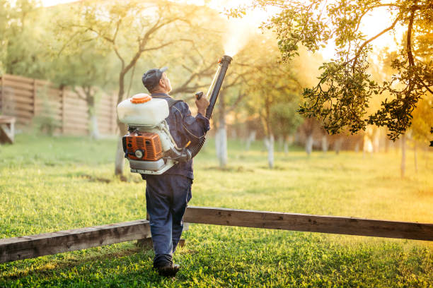 istockphoto-870887116-612x612