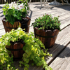 Wooden Flower Pots GT14354