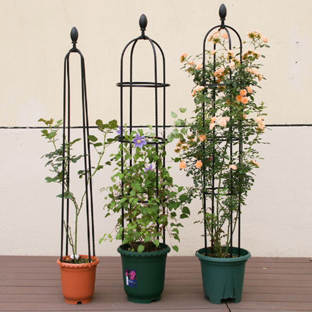 Obelisk Garden GT25156