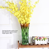 High Thickened Multi-Colored Glass Flower Vase for Home Decor
