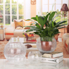 Clear Round Flower Vase Wedding Table Decoration Ball Shape Vases