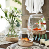 Japanese Minimalist Style Short Wide-mouth Transparent Glass Vase With Wooden Baseplate