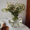 European-style Minimalist Transparent Glass Vase