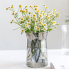Short and Plump Glass Container and Transparent Body Vases
