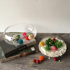 Glass Bubble Bowl Small Fish Bowl Round Terrarium Vase