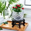 Bowl Glass Vase Clear Bubble Planter Terrarium Fish Bowl