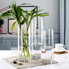 Glass Vase Bulk Cylinder Flower Home Decor Glass Flower Pot Decoration Long Clear Wholesale Wedding Plant Glass Vase for Flowers