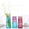 Glass Vase Creative Nordic Colored Glass Vase Transparent Hydroponic Flower Vases Decorated with Green Plants