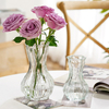 Spot Wholesale Net Red Glass Vase Transparent Hydroponic Flower Bottle Dry Flower Vase Table Decoration