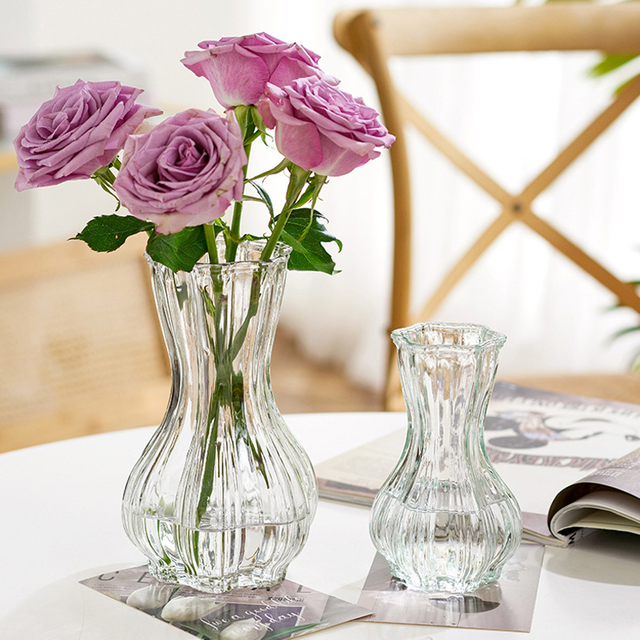 Spot Wholesale Net Red Glass Vase Transparent Hydroponic Flower Bottle Dry Flower Vase Table Decoration