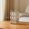 Glass Vase Advanced Sense Modern Simple Transparent Household Hydroponic Vase Small Decoration
