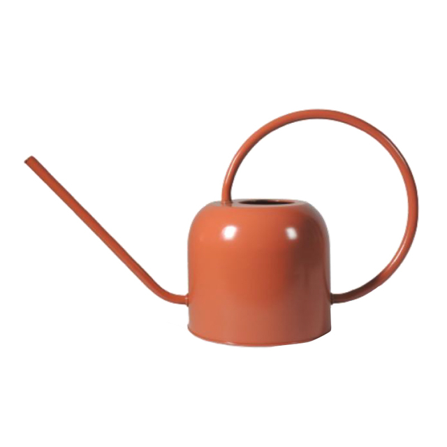 1.6L Long Spout Stainless Steel Gold Colored Watering Can